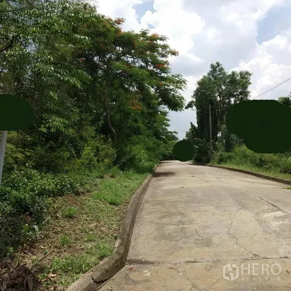 Land for rent or sale in Khlong Luang, Pathum Thani - Quiet concrete access road lined with dense greenery and power lines under a bright sky.