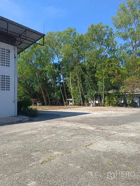 货栈 出租在Mueang Rayong, Rayong - 仓库旁的开放庭院，成排大树与硬化地面。