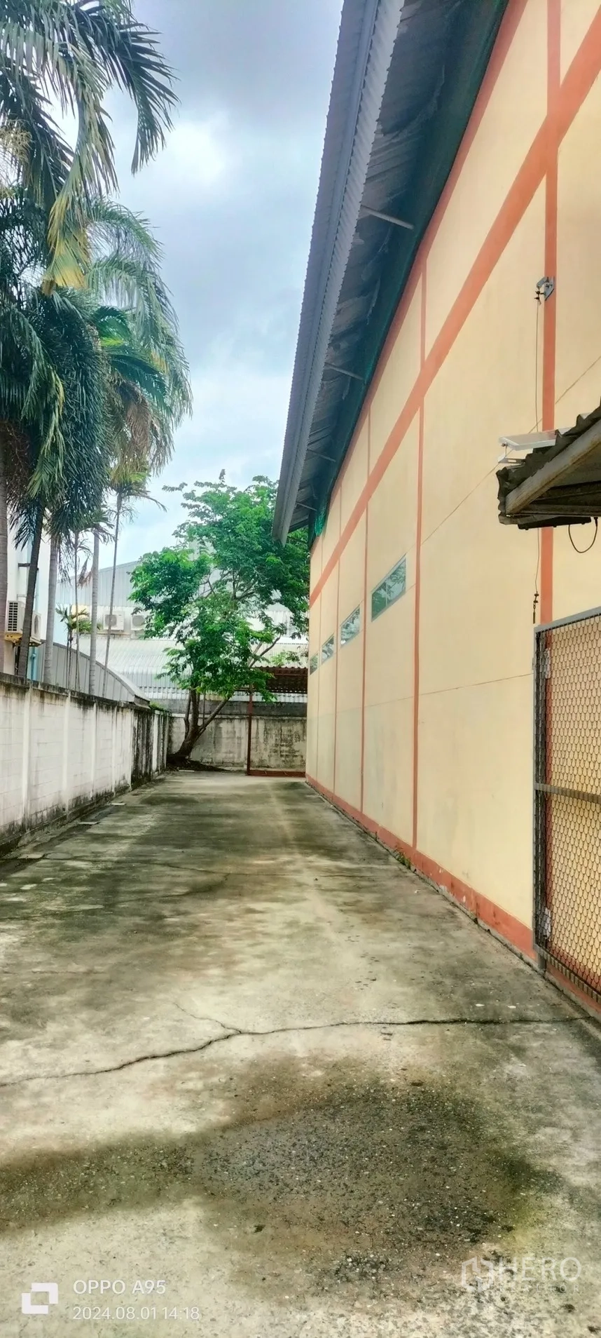 โรงงาน ให้เช่าในKhlong Luang, Pathum Thani - ทางเดินด้านข้างอาคาร มีรั้วป้องกันและต้นปาล์ม