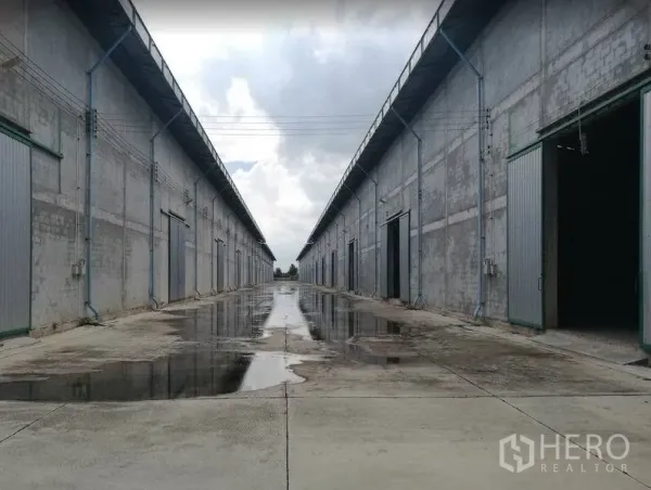 货栈 出租在Bang Sao Thong, Samut Prakan - 两排混凝土仓库与宽阔通道，多个装卸大门，地面排水见积水，位于北榄府邦沙通。