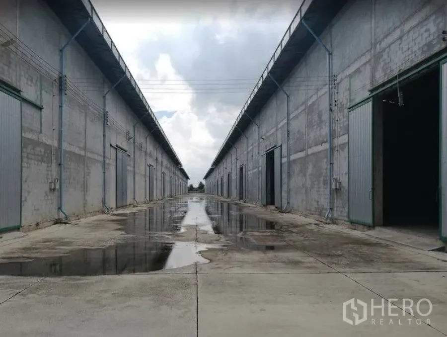 货栈 出租在Bang Sao Thong, Samut Prakan - 两排混凝土仓库与宽阔通道，多个装卸大门，地面排水见积水，位于北榄府邦沙通。
