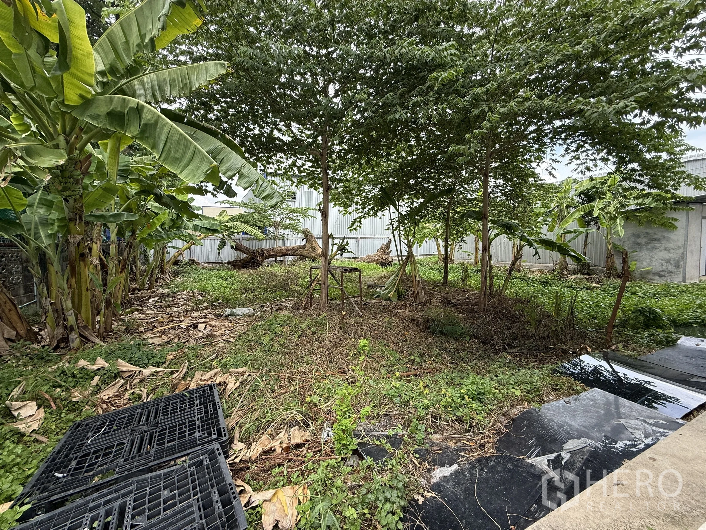 Warehouse for rent in Wang Thonglang, Bangkok - Garden area with trees beside the warehouse.