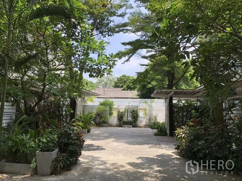 Detached House for rent in Watthana, Bangkok - Leafy driveway and garden courtyard with lush plants providing shade.