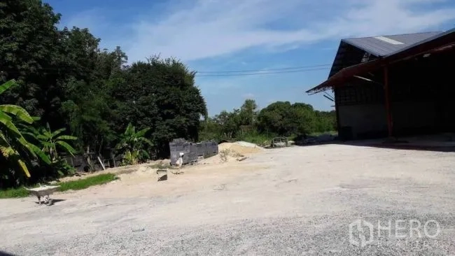 โรงงาน ขายในPhanat Nikhom, Chon Buri - ลานกรวดกว้างข้างโรงงานหลังคาเมทัลชีท มีต้นไม้ใหญ่และท้องฟ้าโปร่ง