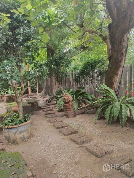 Detached House for rent or sale in Suan Luang, Bangkok - Stone pathway through a landscaped garden with potted plants and large trees.