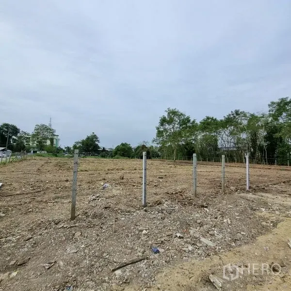Land for rent in Lam Luk Ka, Pathum Thani - Open land parcel with concrete fence posts, leveled ground and a tree line on the edge.