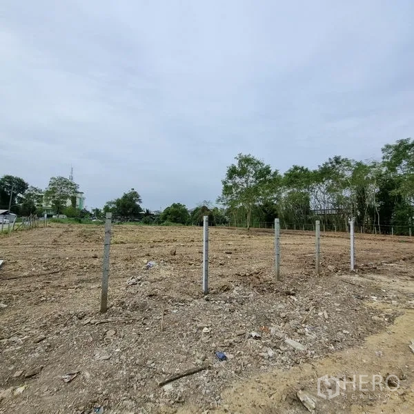 Land for rent in Lam Luk Ka, Pathum Thani - Open land parcel with concrete fence posts, leveled ground and a tree line on the edge.