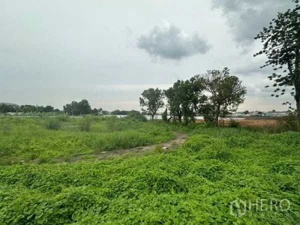 ที่ดิน ขายในSai Mai, Bangkok - ที่ดินว่างวิวกว้าง มีทางดินและต้นไม้ บรรยากาศครึ้มฟ้าในเขตสายไหม กรุงเทพมหานคร