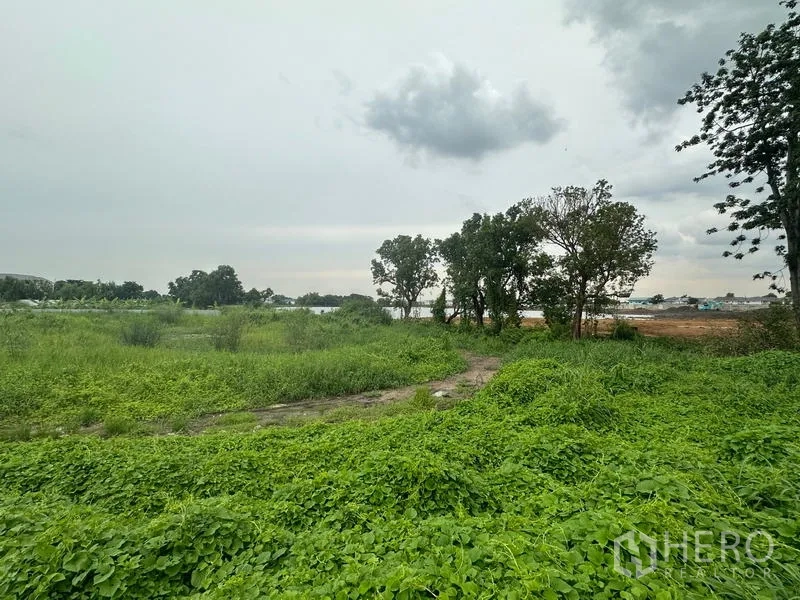 ที่ดิน ขายในSai Mai, Bangkok - ที่ดินว่างวิวกว้าง มีทางดินและต้นไม้ บรรยากาศครึ้มฟ้าในเขตสายไหม กรุงเทพมหานคร