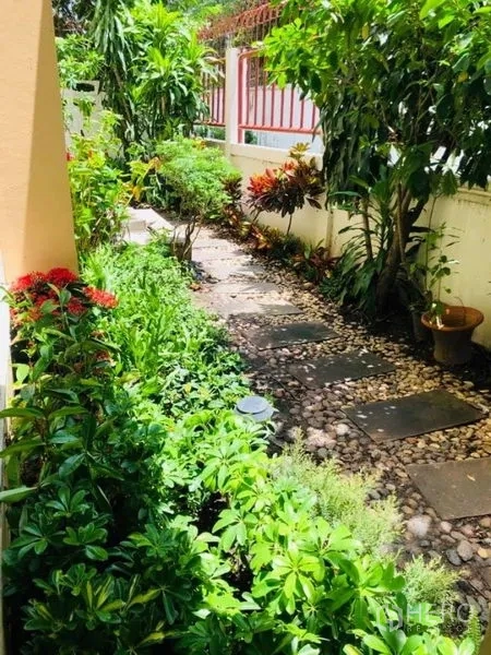 บ้าน ให้เช่าในWatthana, Bangkok - มุมมองอีกด้านของทางเดินสวนจัดแต่งด้วยไม้ดอกและกรวดแม่น้ำ