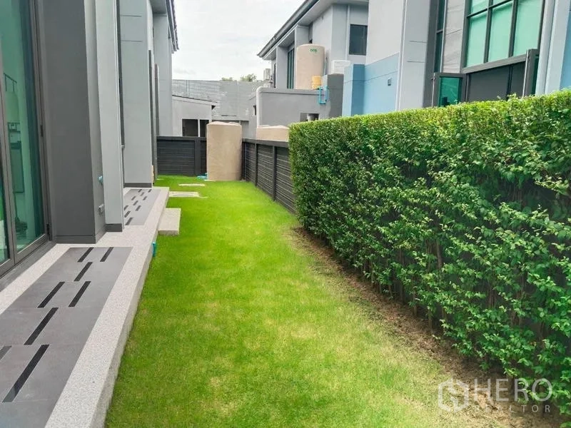 Detached House for rent or sale in Bang Kapi, Bangkok - Narrow side garden with green lawn and trimmed hedge for privacy.