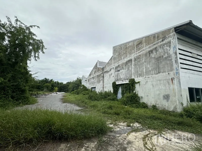 Factory for rent or sale in Khlong Luang, Pathum Thani - Rear exterior of factory buildings with concrete lane and natural vegetation.