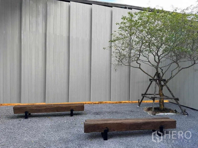 Home Office for sale in Chatuchak, Bangkok - Outdoor gravel courtyard with wooden benches, young tree and corrugated privacy wall.