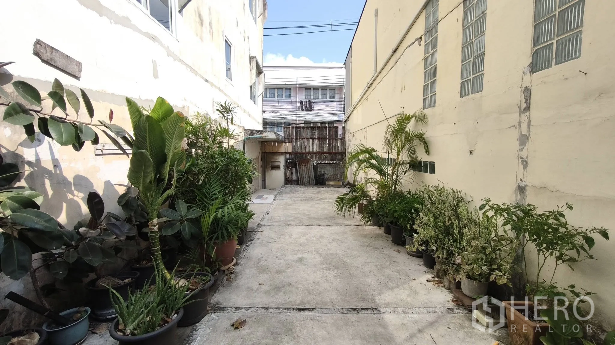 店屋 for rent in Khlong Toei, Bangkok - 建筑间的室外通道，两侧摆放热带盆栽植物。
