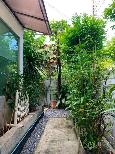 บ้าน ขายในSuan Luang, Bangkok - ทางเดินสวนข้างบ้านมีต้นไม้เขียวชอุ่ม โรยกรวด และผนังกระจกของตัวบ้าน