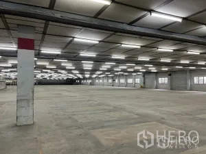 Factory for rent in Phra Pradaeng, Samut Prakan - Open-plan warehouse space with illuminated ceiling grid and clear floor ready for operations.
