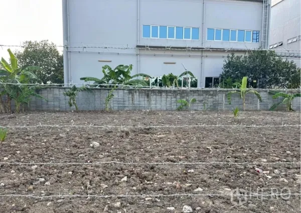 ที่ดิน ขายในSaphan Sung, Bangkok - แปลงที่ดินถมและล้อมรั้ว มีต้นกล้ากล้วย อยู่ข้างกำแพงโรงงาน