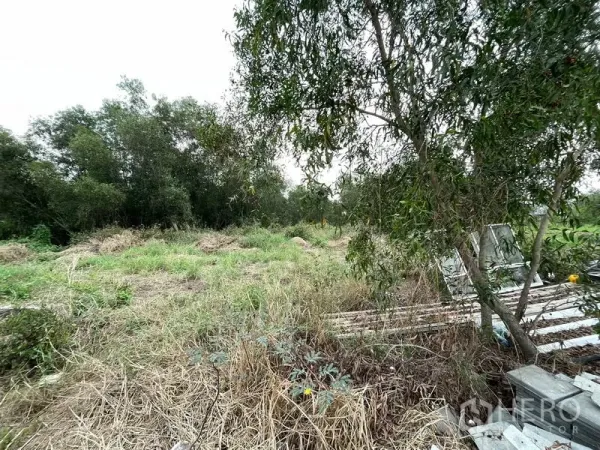 ที่ดิน ขายในLam Luk Ka, Pathum Thani - ขอบแปลงมีต้นไม้และวัสดุก่อสร้างวางเรียง