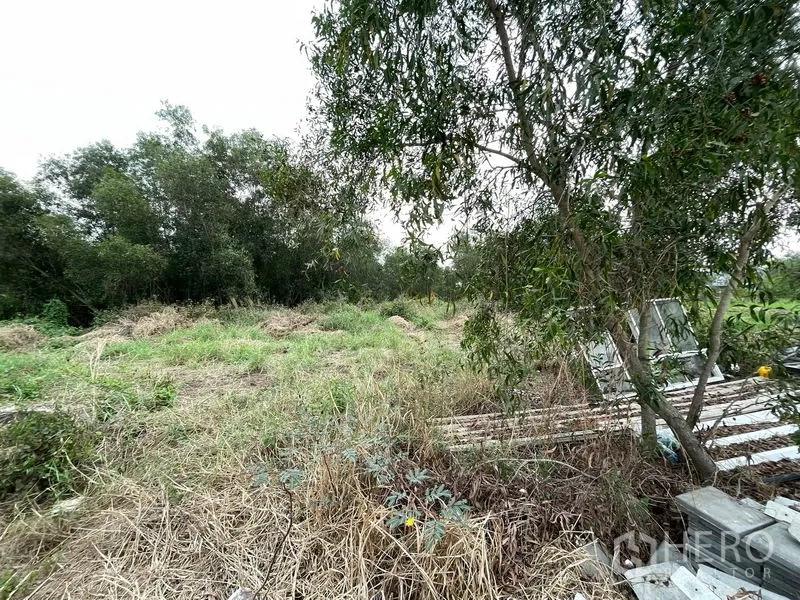 ที่ดิน ขายในLam Luk Ka, Pathum Thani - ขอบแปลงมีต้นไม้และวัสดุก่อสร้างวางเรียง