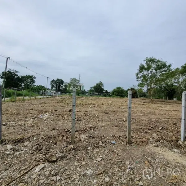Land for rent in Lam Luk Ka, Pathum Thani - Wide, cleared plot with electricity lines and boundary stakes amid green surroundings.
