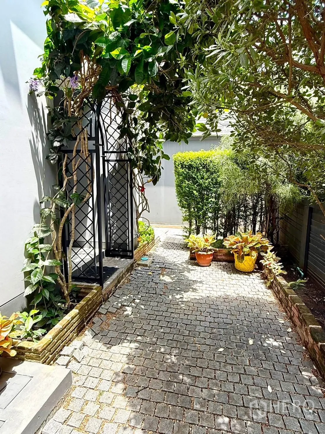 บ้านเดี่ยว for rent in Bang Kapi, Bangkok - ทางเดินสวนร่มรื่นมีซุ้มเถาวัลย์และประตูเหล็กสีดำ.