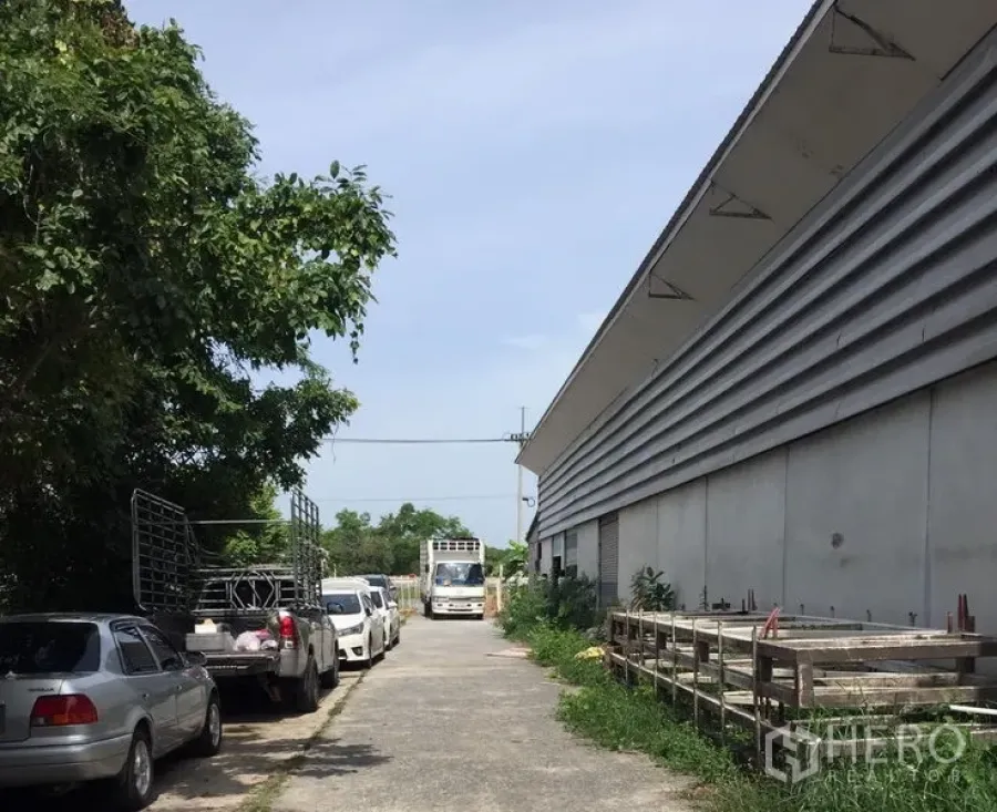 คลังสินค้า ให้เช่าในKhlong Luang, Pathum Thani - ทางรถกว้างข้างโกดังขนาดใหญ่ มีรถกระบะจอดและร่มไม้ เหมาะสำหรับรถบรรทุกเข้าออก