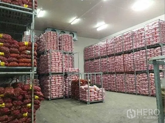 Factory for sale in Khlong Luang, Pathum Thani - Cold storage room filled with racked bags of produce under ceiling-mounted cooling units.