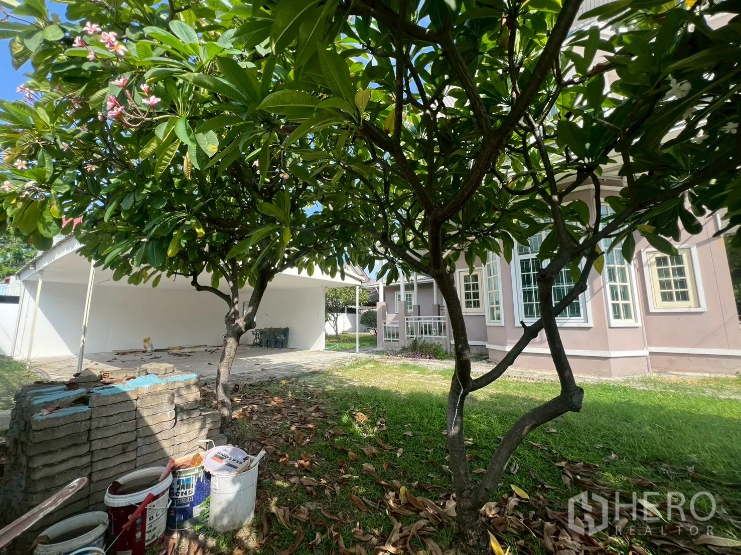 บ้าน ขายในPhra Khanong, Bangkok - สวนหลังบ้านมีต้นลั่นทม สนามหญ้า และโรงจอดรถแบบเปิด