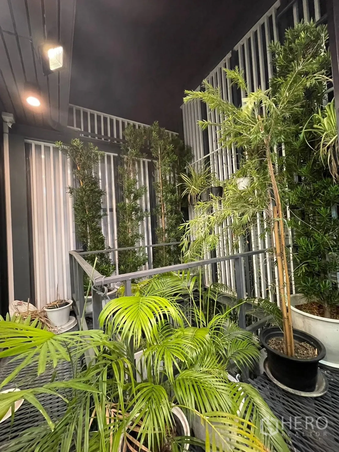 Home Office for rent or sale in Bang Kapi, Bangkok - Pocket balcony garden filled with potted tropical plants and metal grating floor.