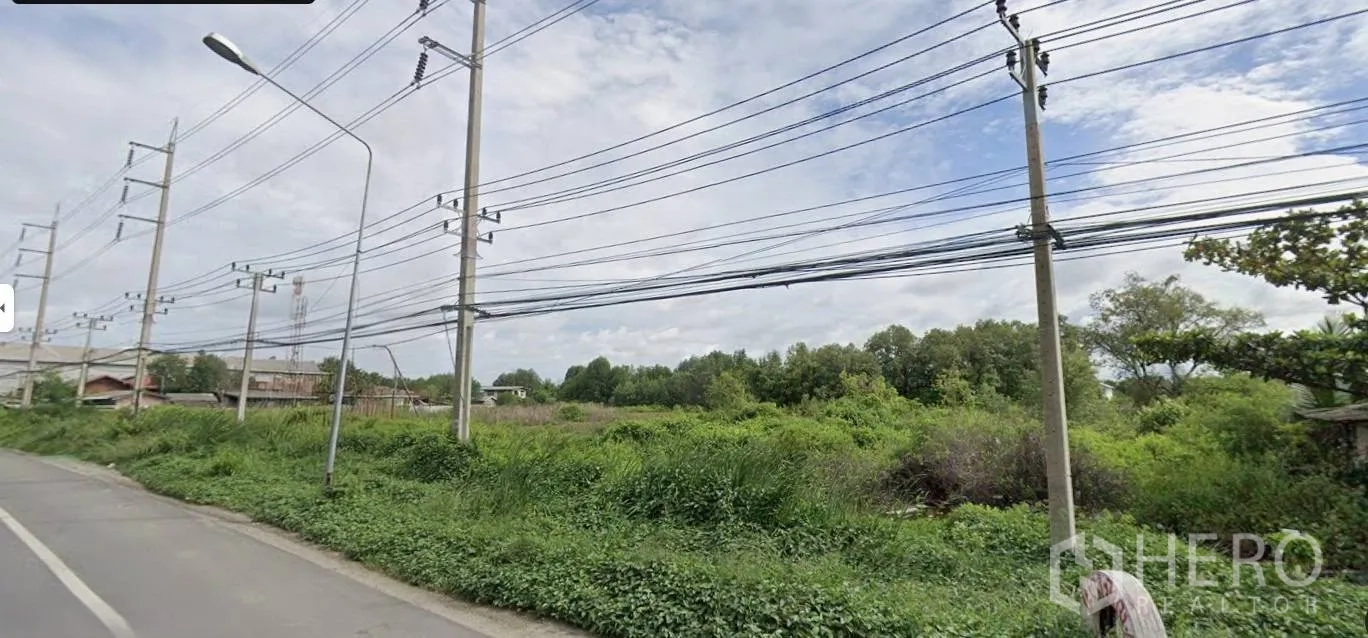 Land for sale in Bang Pakong, Chachoengsao - Roadside view of a large greenfield plot with utility poles, overhead power lines, and trees in the background.