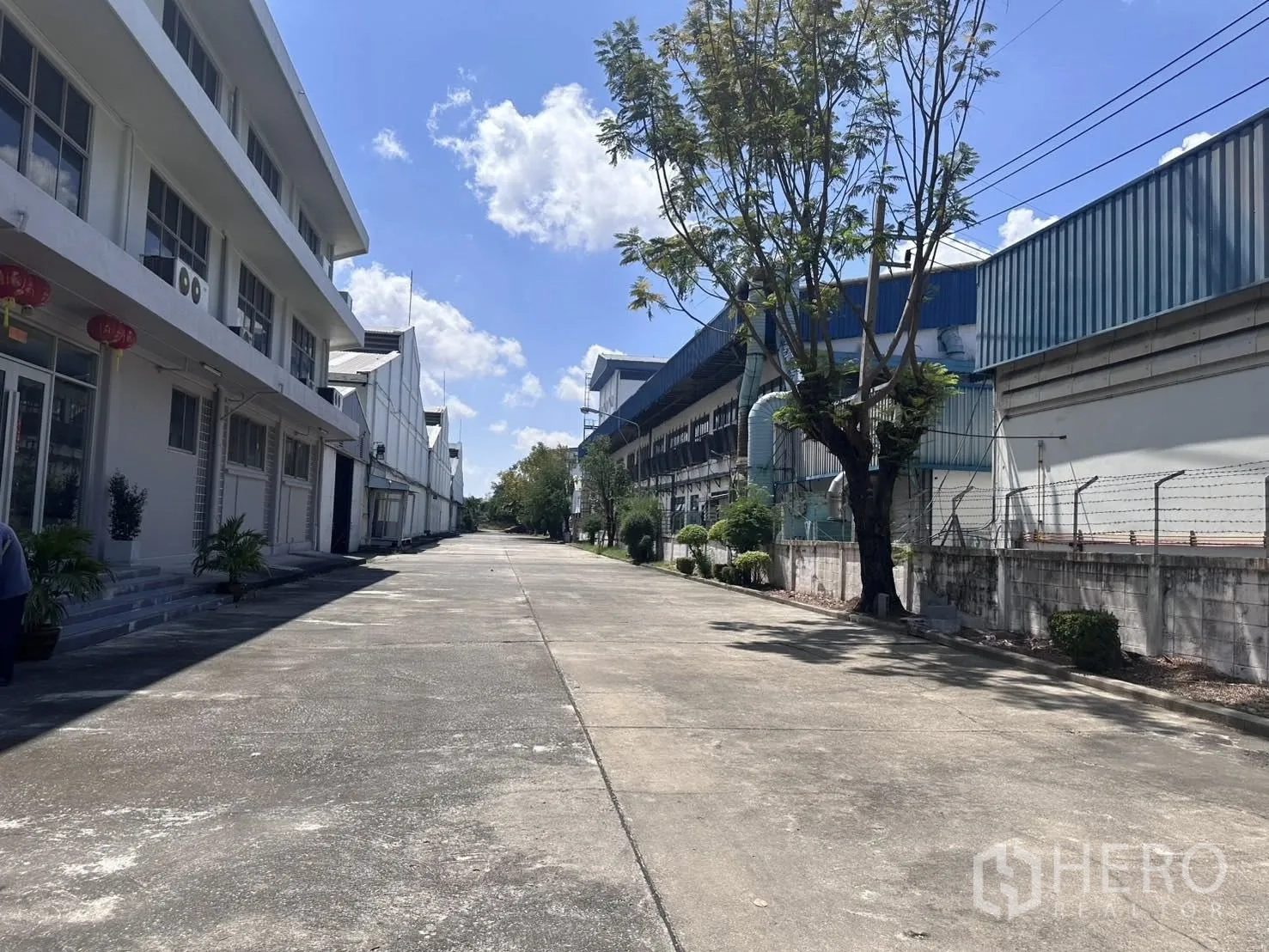 คลังสินค้า for rent in Mueang Samut Prakan, Samut Prakan - ถนนภายในโครงการระหว่างอาคารสำนักงานกับโรงงานข้างเคียง มีต้นไม้เรียงราย