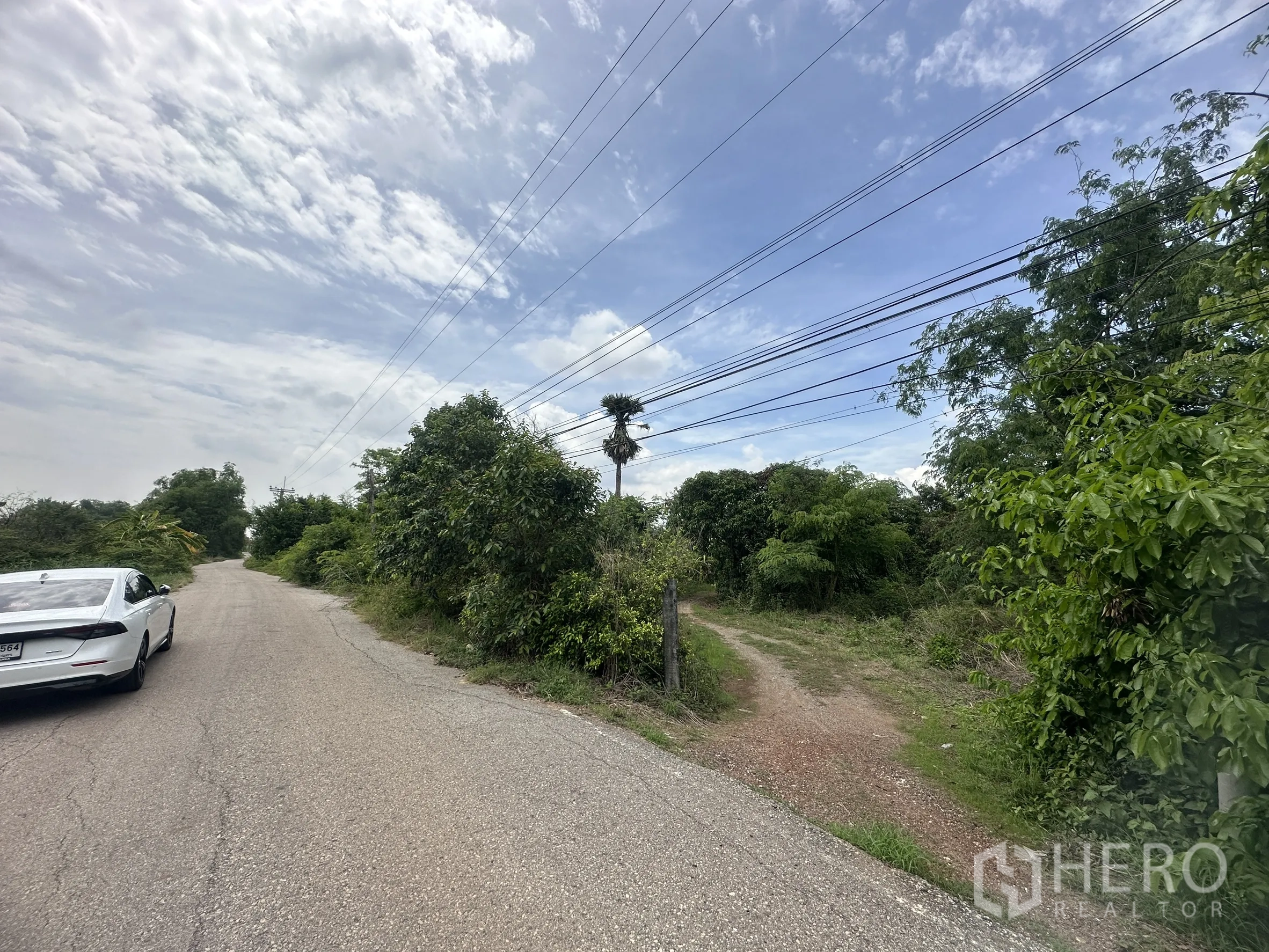 Land for sale in Bang Nam Priao, Chachoengsao - Rural paved road with electricity lines beside greenery and an entrance to the land.