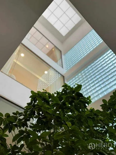 Home Office for sale in Chatuchak, Bangkok - Upward view to skylight over green tree with glass‑block walls in the atrium.