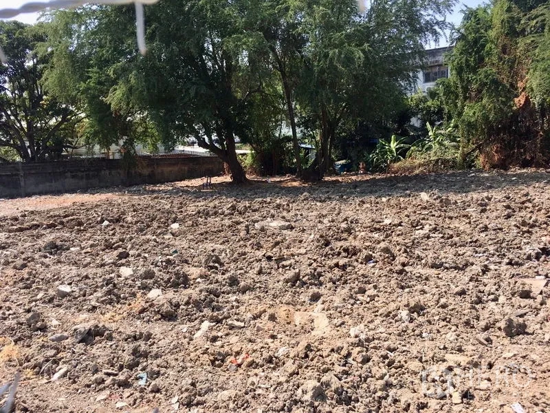 ที่ดิน ให้เช่าในBang Na, Bangkok - พื้นดินที่ถมแล้ว มีต้นไม้ให้ร่มเงาและกำแพงแนวเขตด้านหลัง