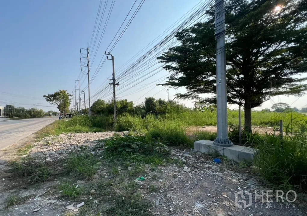 Land for sale in Lat Krabang, Bangkok - Road verge with a utility pole and cables beside undeveloped land.