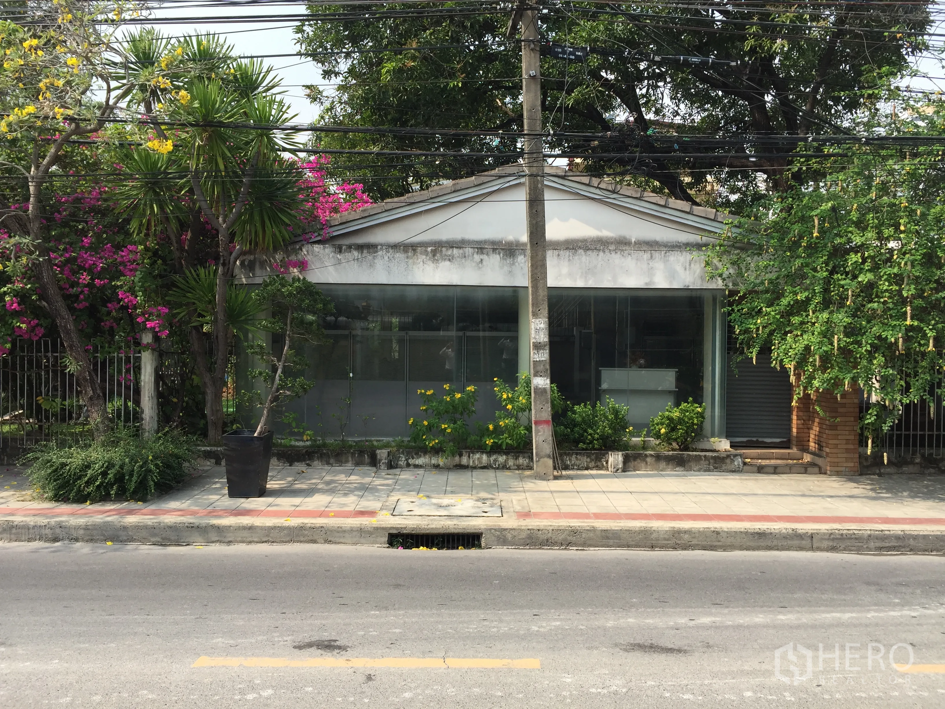 สำนักงาน ให้เช่าในWatthana, Bangkok - อาคารชั้นเดียวด้านหน้ากระจกติดถนน รายล้อมด้วยต้นไม้และทางเท้า ในย่านทองหล่อ กรุงเทพฯ