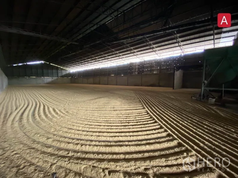 工厂 出租在Chachoengsao - 无柱仓库地面，长条天窗与整齐纹理的散装物料