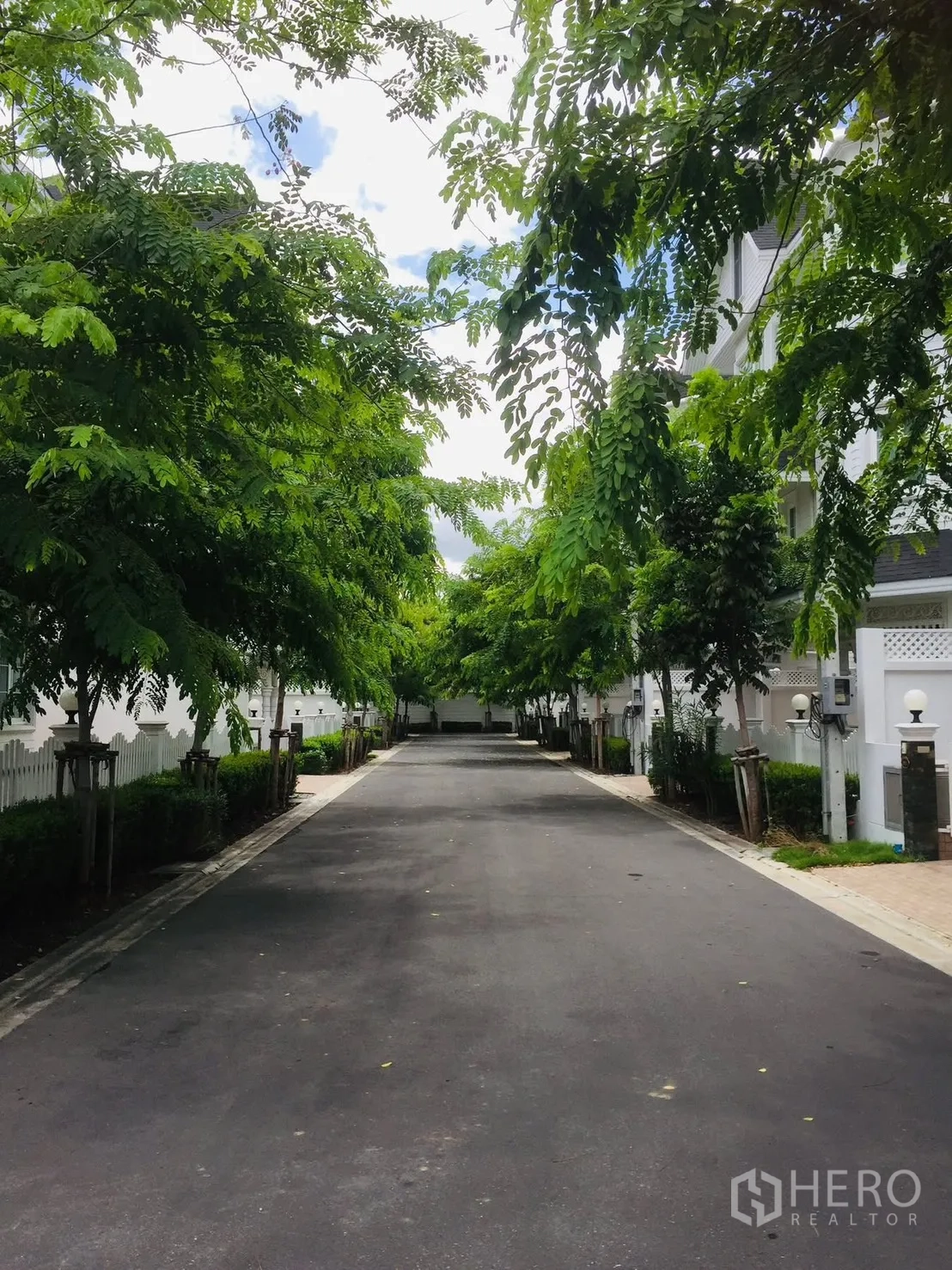 Detached House for rent in Bang Na, Bangkok - Tree-lined private street inside the residential compound.