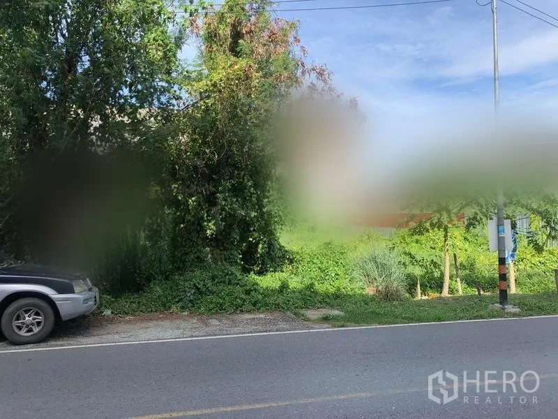 ที่ดิน ขายในPathum Thani - หน้ากว้างติดถนนลาดยาง มีเสาไฟฟ้าข้างที่ดินแปลงเขียวในธัญบุรี