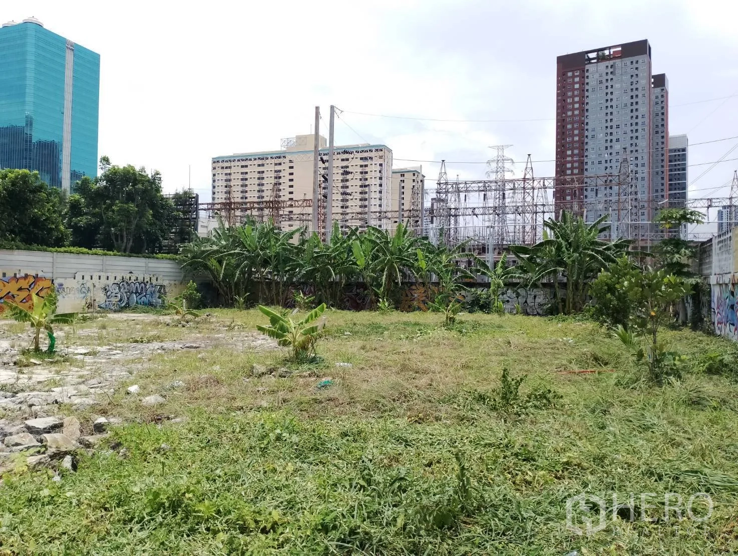 ที่ดิน ขายในSuan Luang, Bangkok - มุมภายในแปลงที่ดินโล่งมีพืชเตี้ย รายล้อมด้วยกำแพงและอาคารสูงด้านหลัง