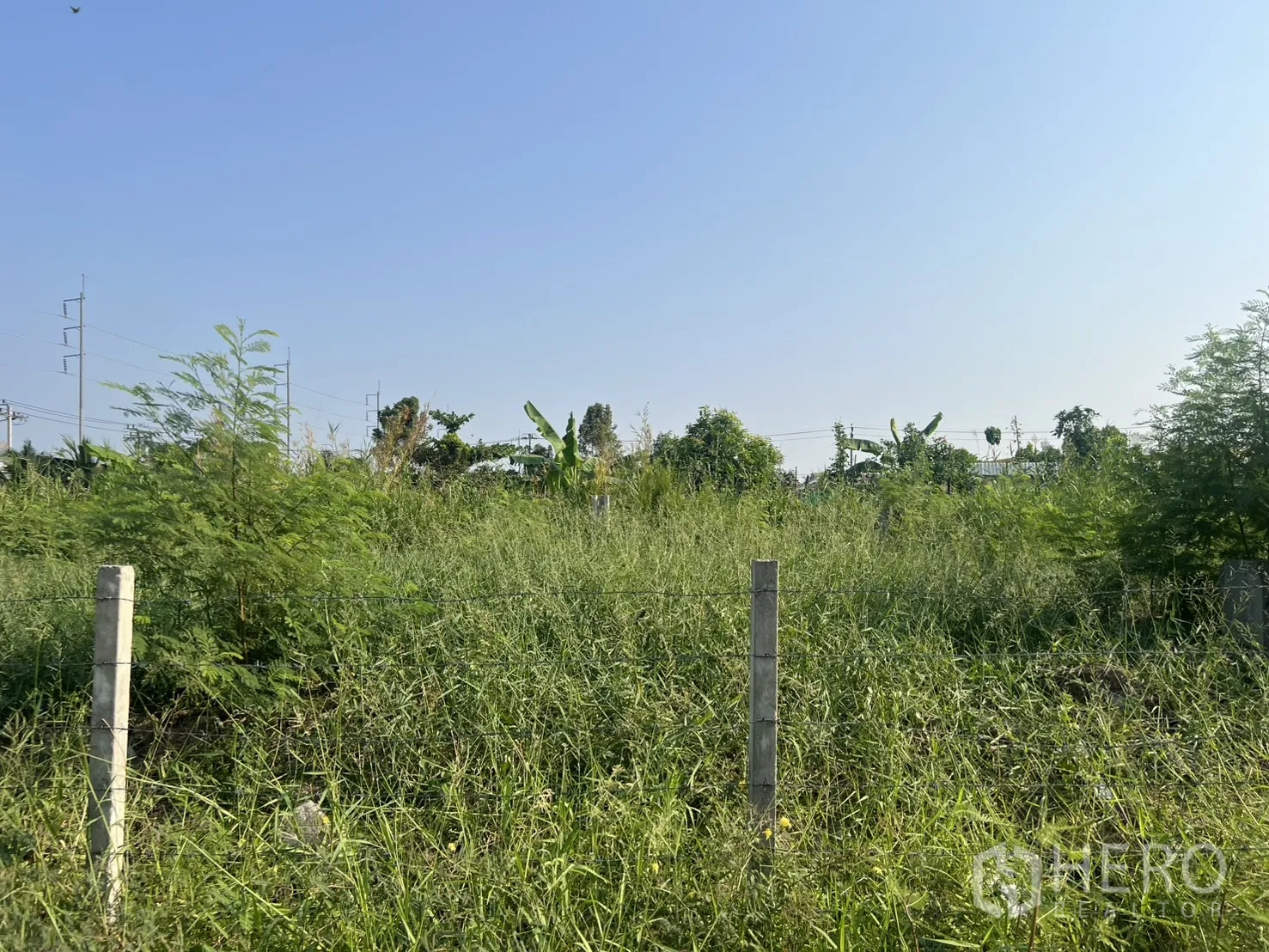 Land for sale in Lat Krabang, Bangkok - Vacant land with natural vegetation and concrete post-and-wire fence.