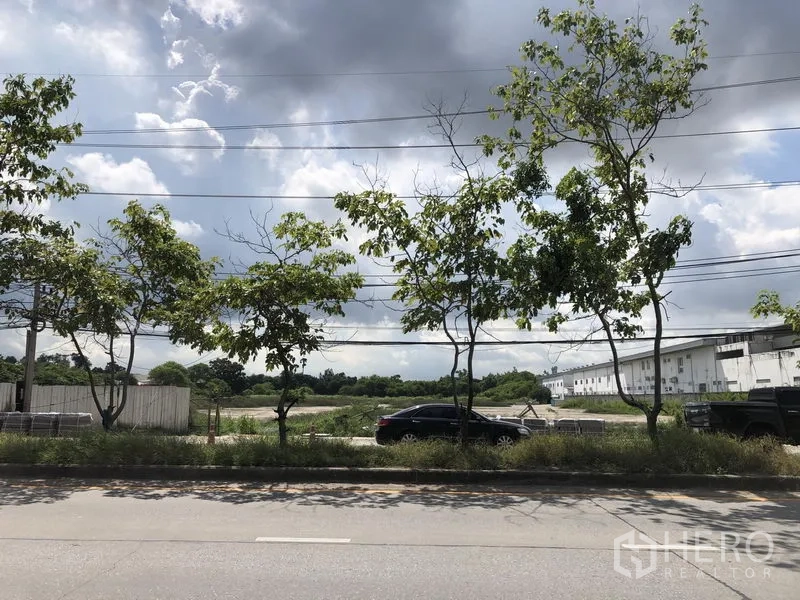 Land for sale in Mueang Pathum Thani, Pathum Thani - Roadside view of a large vacant land plot in Mueang Pathum Thani with trees, power lines, and nearby warehouse buildings.