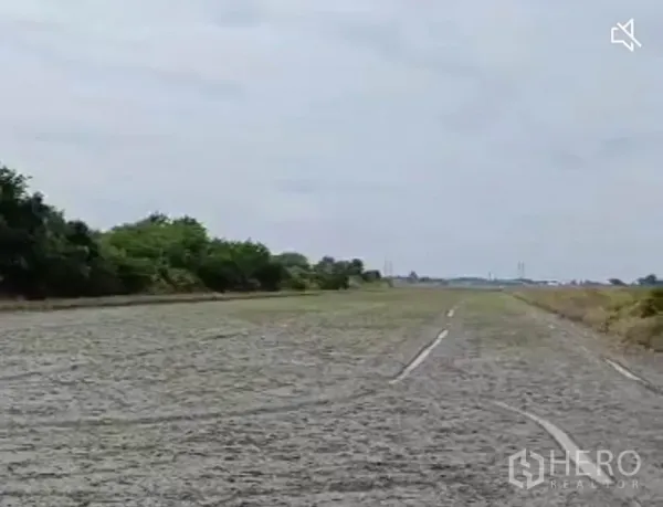 Land for sale in Lam Luk Ka, Pathum Thani - Panoramic view of expansive cleared land stretching to the horizon with greenery on both sides.