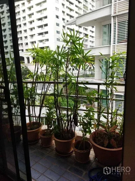 คอนโด ให้เช่าในPathum Wan, Bangkok - ระเบียงขนาดเล็กวางกระถางไผ่ริมประตูบานเลื่อน มองอาคารข้างเคียง