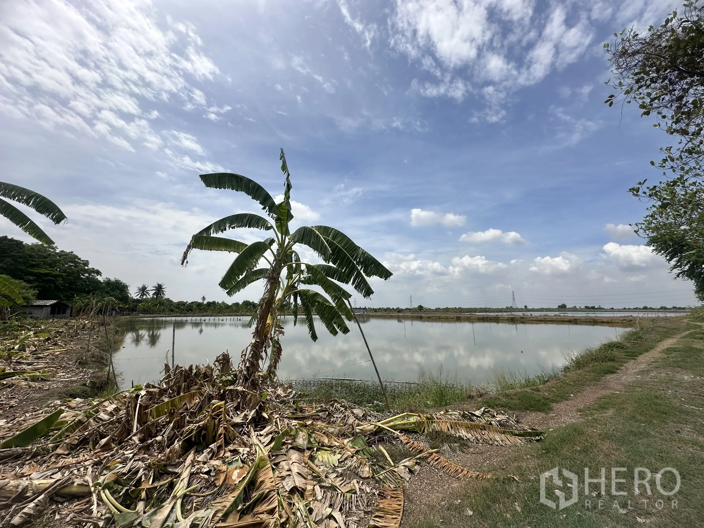 Land for sale in Bang Nam Priao, Chachoengsao - Fish pond beside a dirt track with banana trees and open sky.
