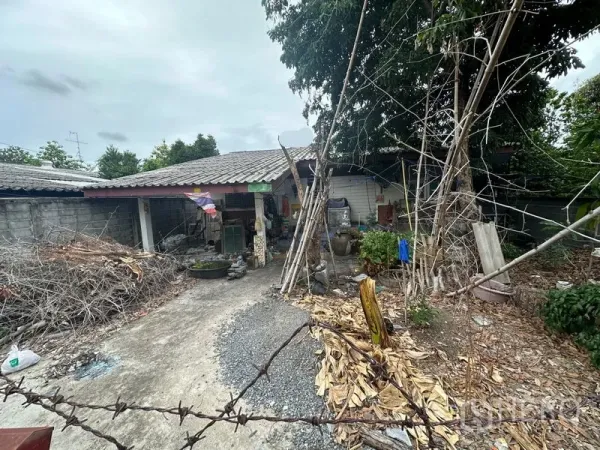 ที่ดิน ขายในPhra Khanong, Bangkok - ที่ดินมีรั้วล้อมพร้อมบ้านชั้นเดียวเดิม ลานคอนกรีต และต้นไม้ใหญ่ ในซอยเงียบสงบของกรุงเทพฯ