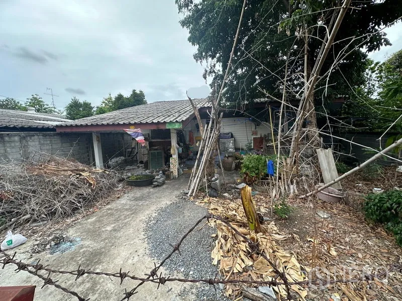 ที่ดิน ขายในPhra Khanong, Bangkok - ที่ดินมีรั้วล้อมพร้อมบ้านชั้นเดียวเดิม ลานคอนกรีต และต้นไม้ใหญ่ ในซอยเงียบสงบของกรุงเทพฯ