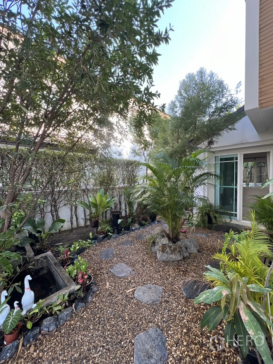 บ้านเดี่ยว for rent in Bang Kapi, Bangkok - ทางเดินแผ่นหินผ่านสวนจัดแต่งข้างตัวบ้านที่มีต้นไม้เขียวชอุ่ม.