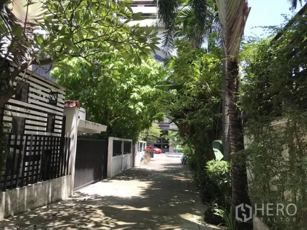 บ้าน ให้เช่าในKhlong Toei, Bangkok - ซอยที่อยู่อาศัยร่มรื่น บ้านมีกำแพงรั้วและต้นไม้ใหญ่