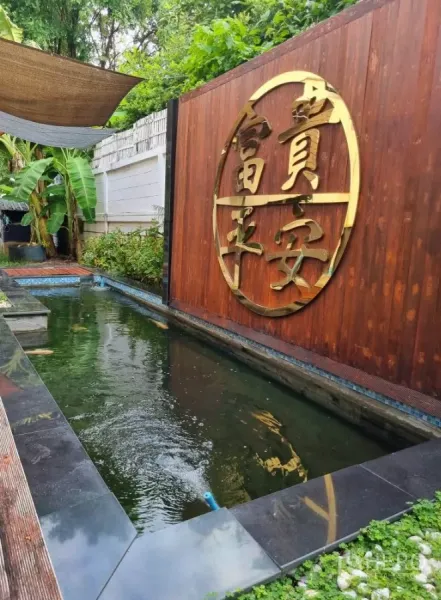 บ้าน ให้เช่าในBang Kapi, Bangkok - สระปลาคราฟในสวนกับผนังไม้ลายตราสีทอง